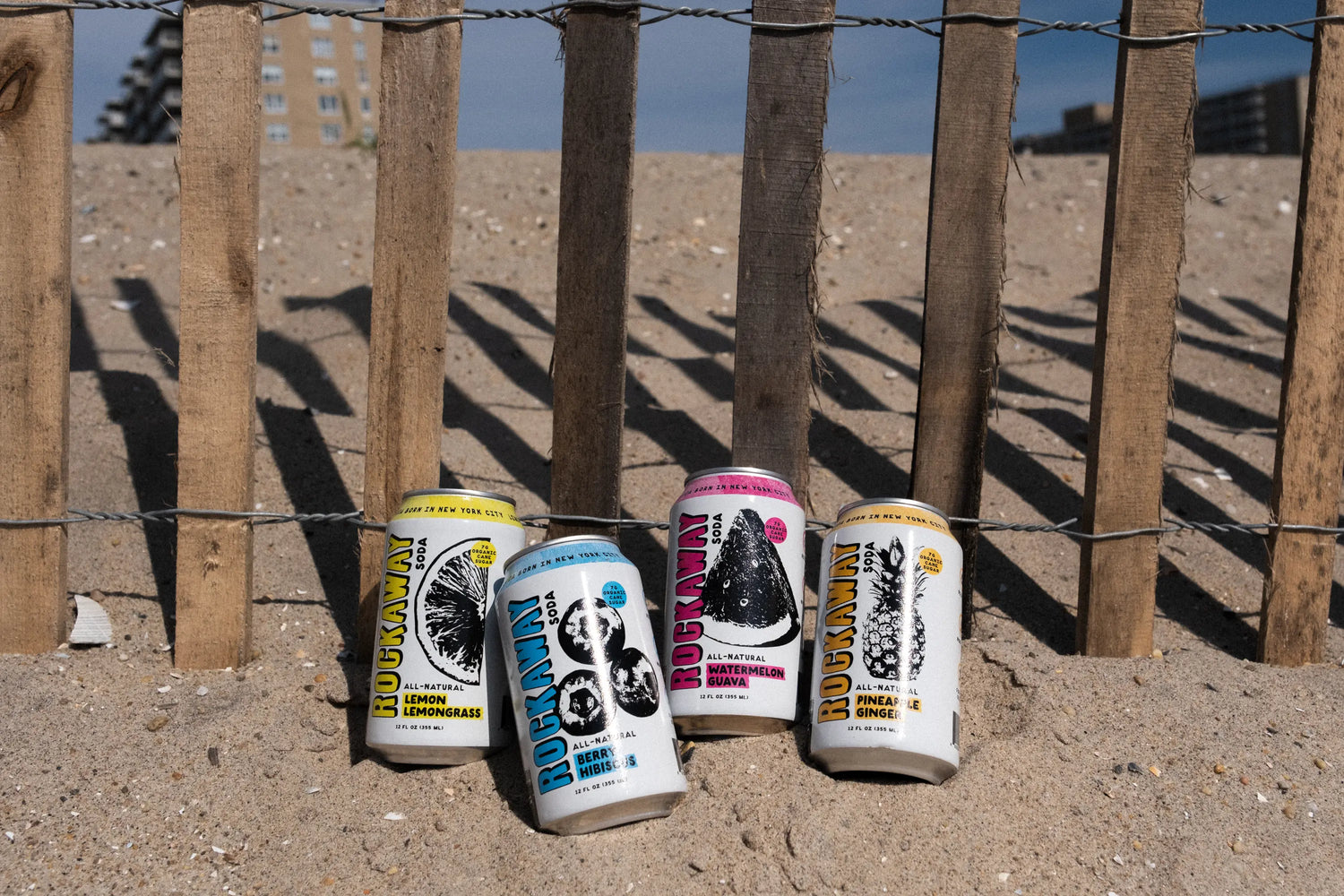 4 Rockaway Cans on the Beach